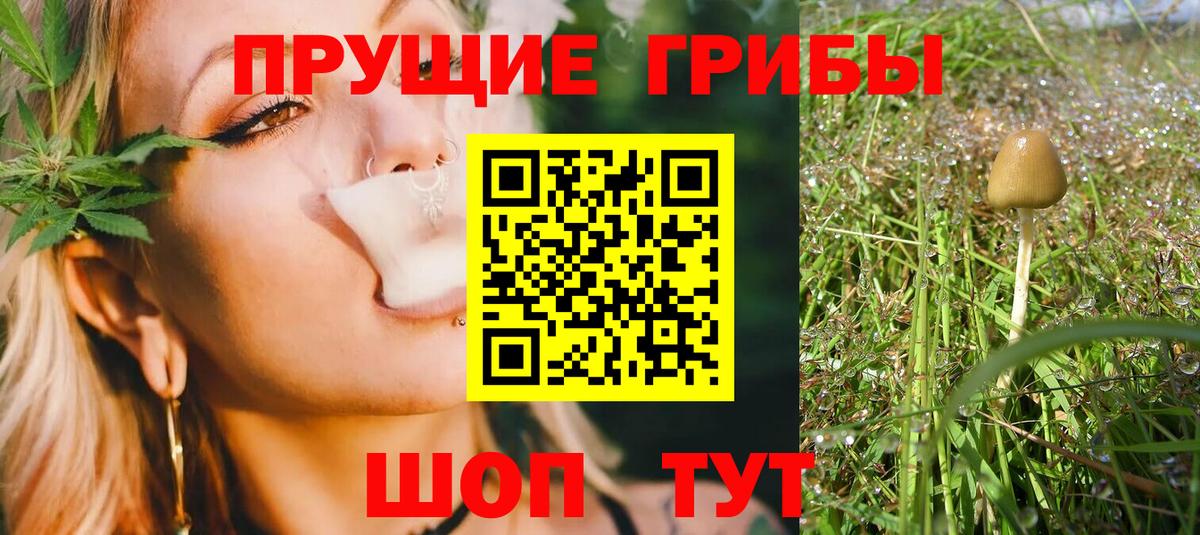 сколько стоит  Вход с VPN  Галлюциногенные грибы MAGIC MUSHROOMS  Павлово  Галлюциногенные грибы Cubensis 