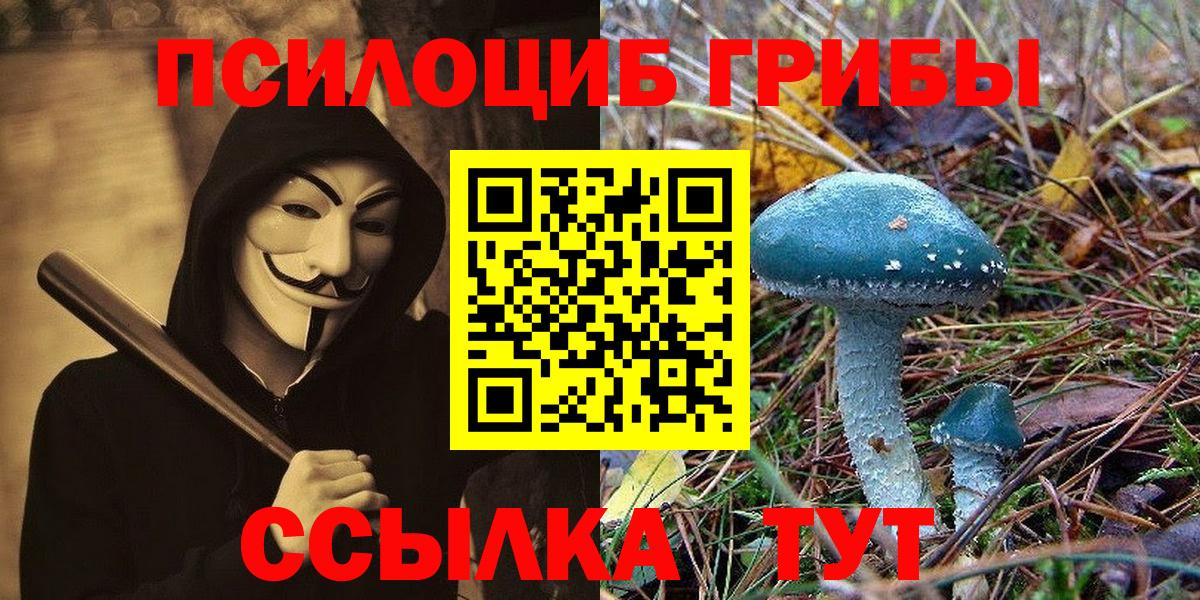 Псилоцибиновые грибы MAGIC MUSHROOMS Павлово